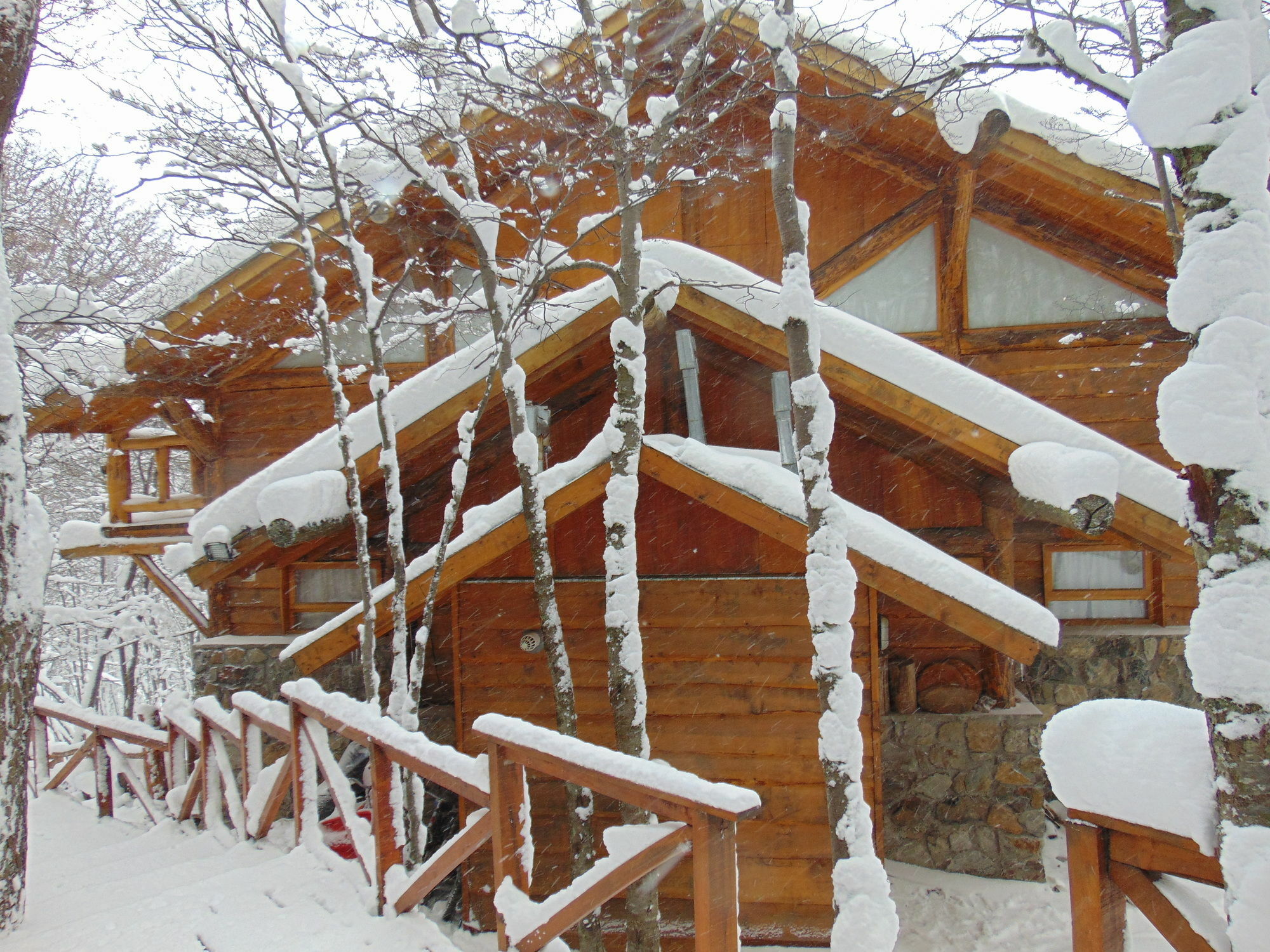 Patagonia Villa Lodge Ushuaia Dış mekan fotoğraf